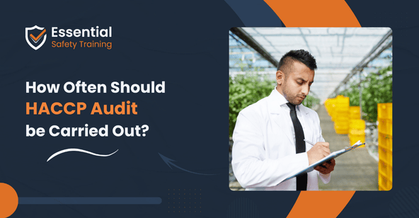 How often should a HACCP audit be carried out?